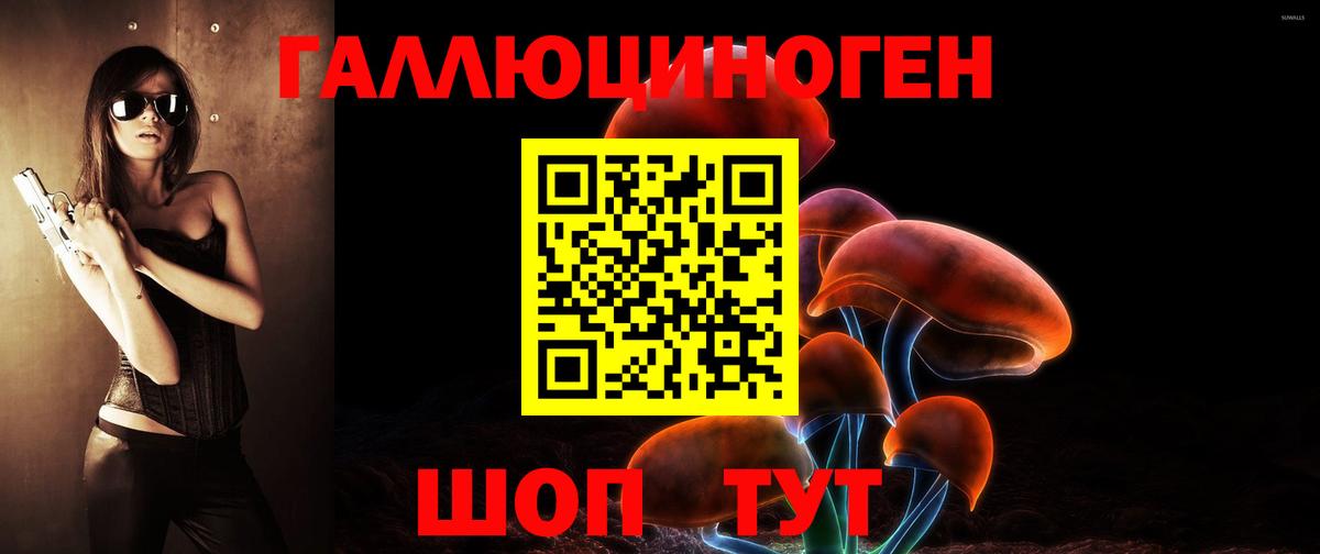 Элиста  Псилоцибиновые грибы Psilocybine cubensis  Псилоцибиновые грибы GOLDEN TEACHER  Вход с VPN 